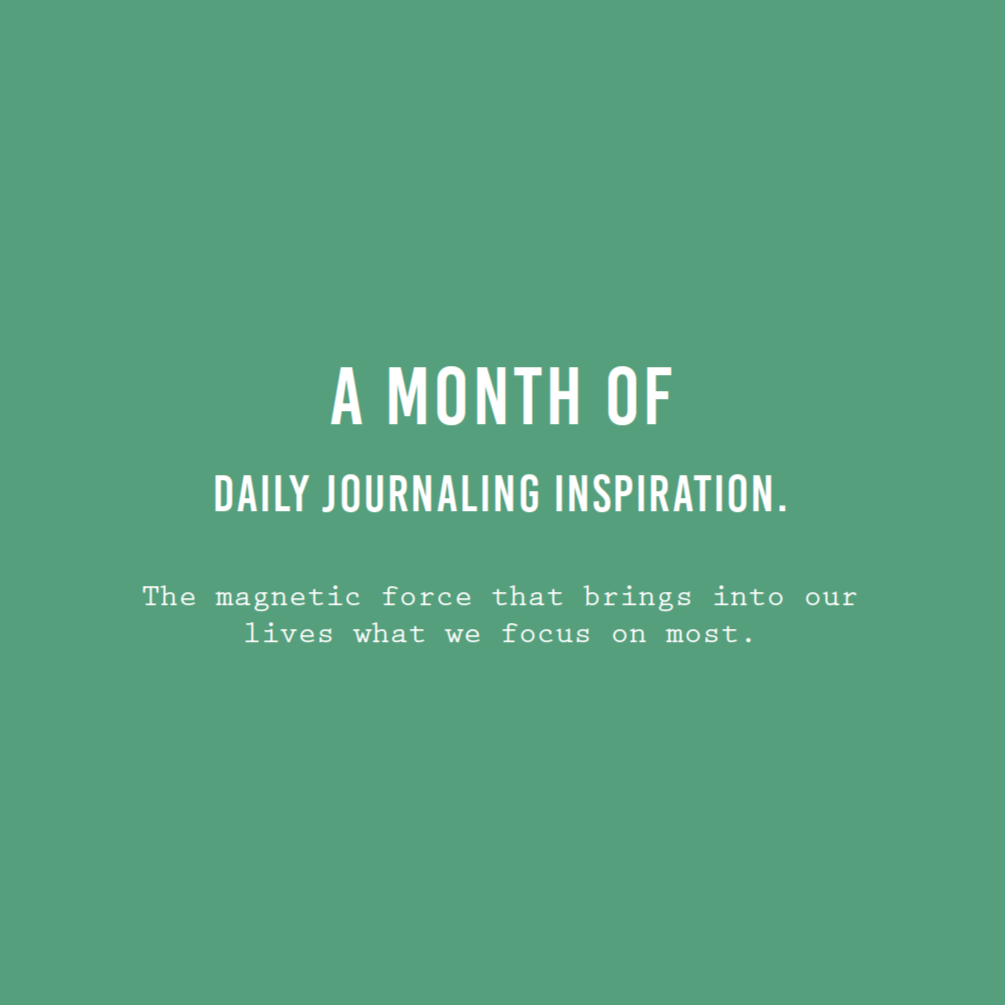 Law of Attraction Journal