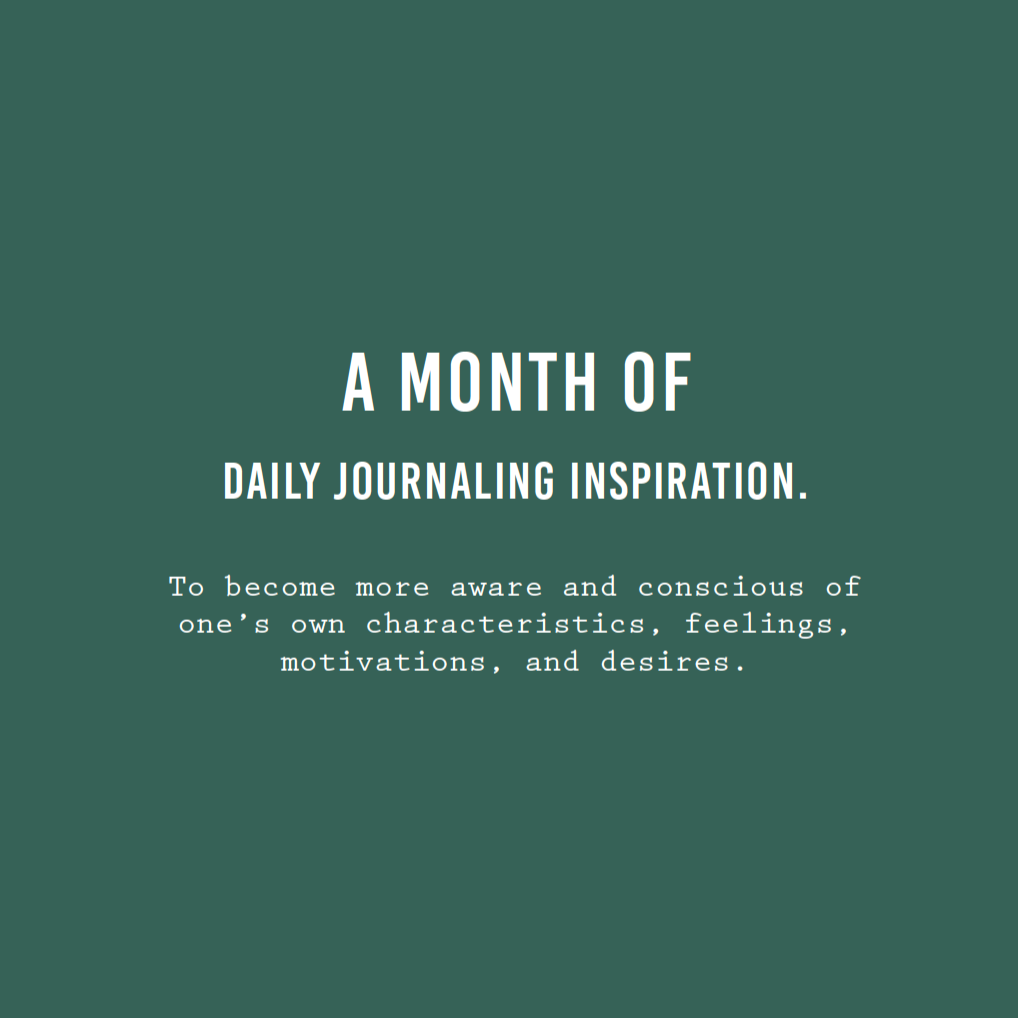 Self-Awareness Journal